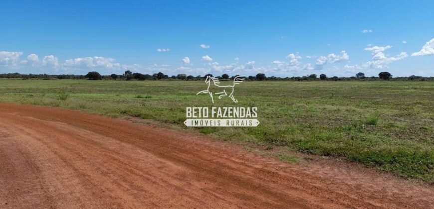 Fazenda à Venda 1.741 Hectares Atividade Agricula e Infraestrutura | Divinópolis/ TO