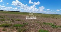 Fazenda à Venda 1.741 Hectares Atividade Agricula e Infraestrutura | Divinópolis/ TO