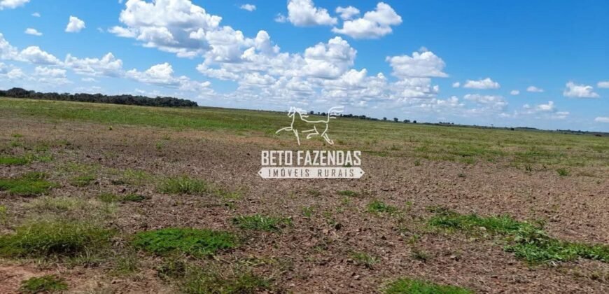 Fazenda à Venda 1.741 Hectares Atividade Agricula e Infraestrutura | Divinópolis/ TO