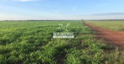 Fazenda à Venda 1.741 Hectares Atividade Agricula e Infraestrutura | Divinópolis/ TO