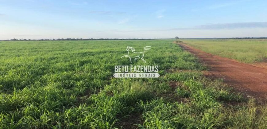 Fazenda à Venda 1.741 Hectares Atividade Agricula e Infraestrutura | Divinópolis/ TO