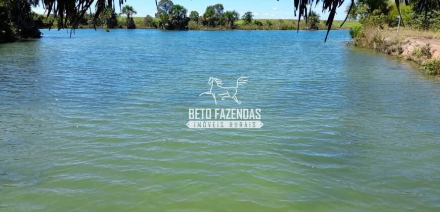 Fazenda à Venda 1.741 Hectares Atividade Agricula e Infraestrutura | Divinópolis/ TO