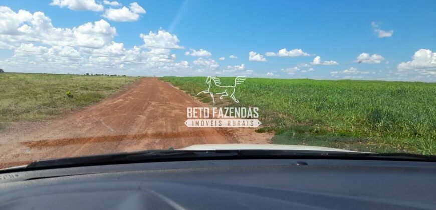 Fazenda à Venda 1.741 Hectares Atividade Agricula e Infraestrutura | Divinópolis/ TO