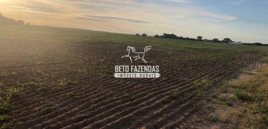 Fazenda à Venda 1.741 Hectares Atividade Agricula e Infraestrutura | Divinópolis/ TO
