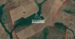 Fazenda à Venda 1.741 Hectares Atividade Agricula e Infraestrutura | Divinópolis/ TO