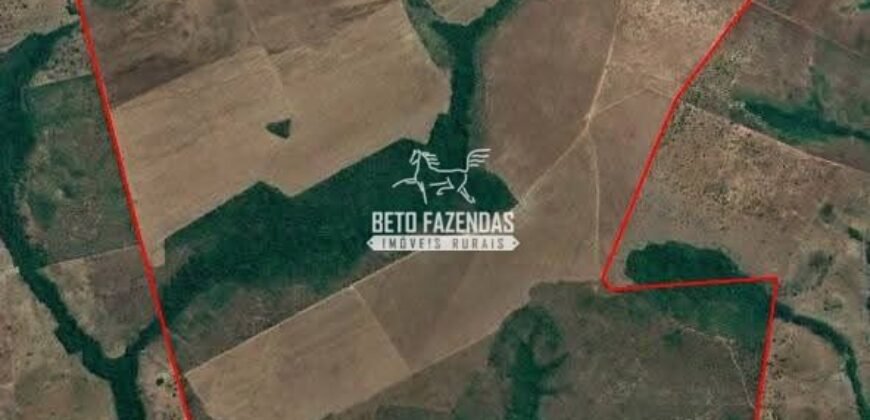 Fazenda à Venda 1.741 Hectares Atividade Agricula e Infraestrutura | Divinópolis/ TO