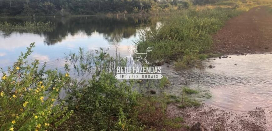 Fazenda à Venda 1.741 Hectares Atividade Agricula e Infraestrutura | Divinópolis/ TO