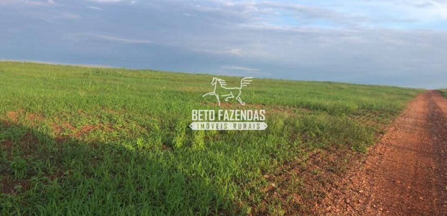 Fazenda à Venda 1.741 Hectares Atividade Agricula e Infraestrutura | Divinópolis/ TO