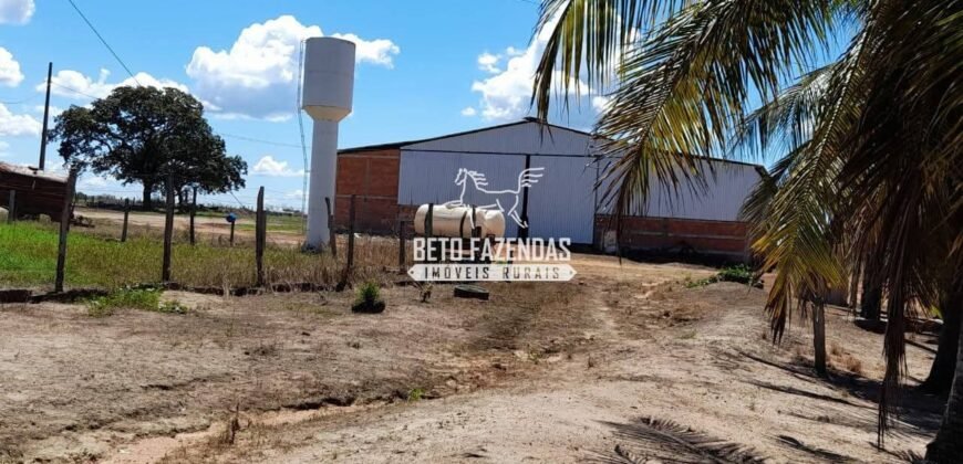 Fazenda à Venda 1.741 Hectares Atividade Agricula e Infraestrutura | Divinópolis/ TO