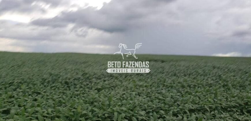 Fazenda à Venda 1.741 Hectares Atividade Agricula e Infraestrutura | Divinópolis/ TO