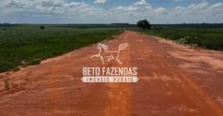 Fazenda de Soja à Venda 335 Alqueires Paulistas Localização Privilegiada | Naviraí/ MS
