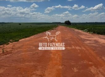 Fazenda de Soja à Venda 335 Alqueires Paulistas Localização Privilegiada | Naviraí/ MS