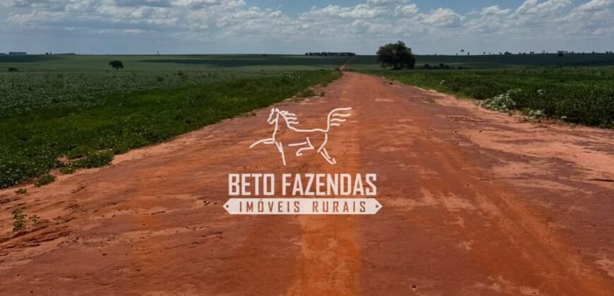 Fazenda de Soja à Venda 335 Alqueires Paulistas Localização Privilegiada | Naviraí/ MS