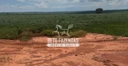 Fazenda de Soja à Venda 335 Alqueires Paulistas Localização Privilegiada | Naviraí/ MS