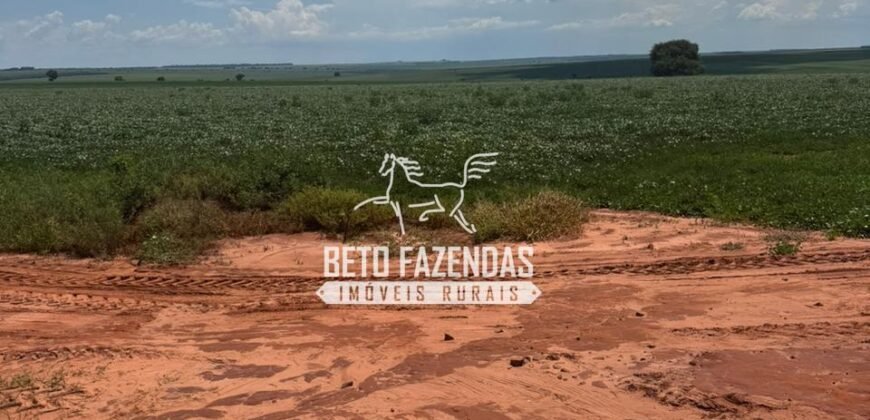 Fazenda de Soja à Venda 335 Alqueires Paulistas Localização Privilegiada | Naviraí/ MS
