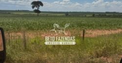 Fazenda de Soja à Venda 335 Alqueires Paulistas Localização Privilegiada | Naviraí/ MS