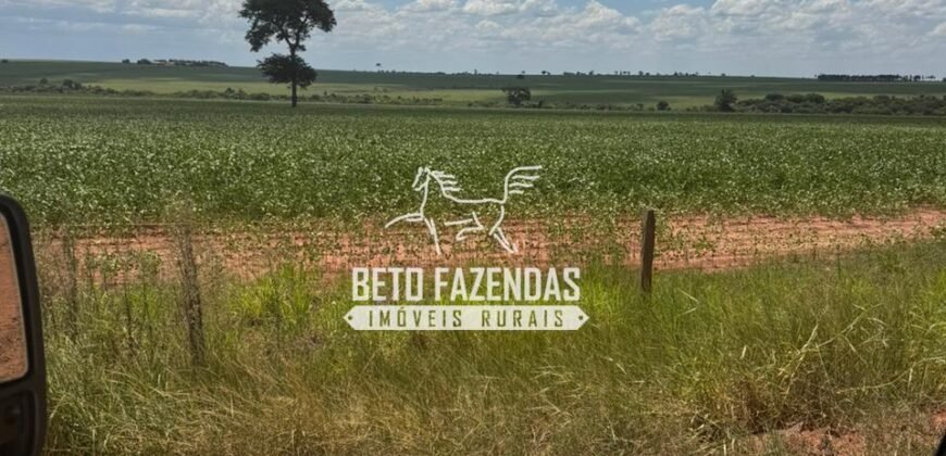 Fazenda de Soja à Venda 335 Alqueires Paulistas Localização Privilegiada | Naviraí/ MS