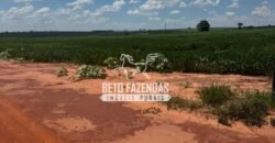 Fazenda de Soja à Venda 335 Alqueires Paulistas Localização Privilegiada | Naviraí/ MS