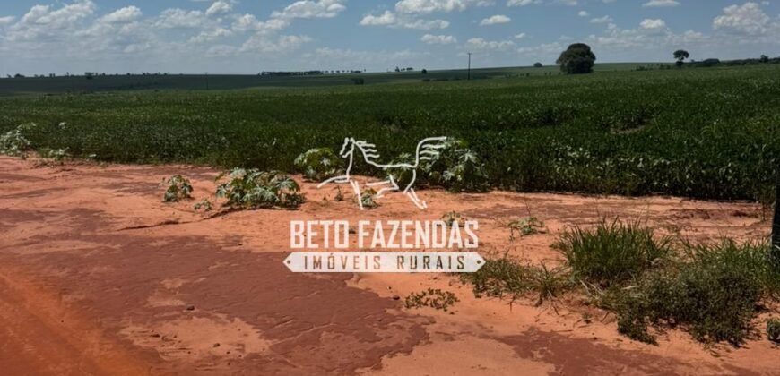 Fazenda de Soja à Venda 335 Alqueires Paulistas Localização Privilegiada | Naviraí/ MS