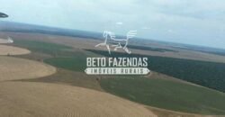 Fazenda de Soja à Venda 4.926 Hectares Infraestrutura Completa e Irrigação Consolidada | Jussara/GO