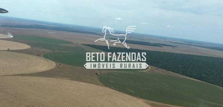 Fazenda de Soja à Venda 4.926 Hectares Infraestrutura Completa e Irrigação Consolidada | Jussara/GO