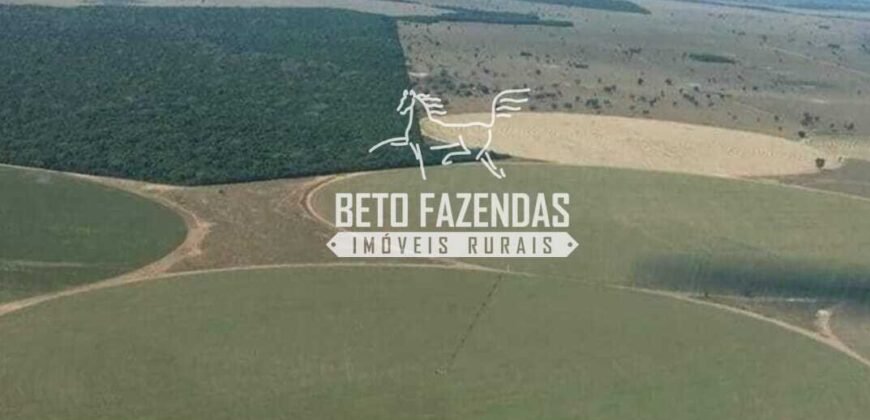 Fazenda de Soja à Venda 4.926 Hectares Infraestrutura Completa e Irrigação Consolidada | Jussara/GO