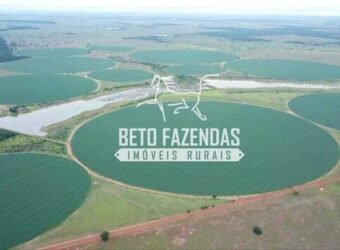 Fazenda de Soja à Venda 4.926 Hectares Infraestrutura Completa e Irrigação Consolidada | Jussara/GO