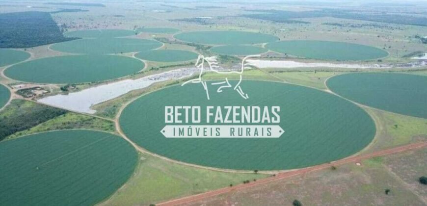 Fazenda de Soja à Venda 4.926 Hectares Infraestrutura Completa e Irrigação Consolidada | Jussara/GO