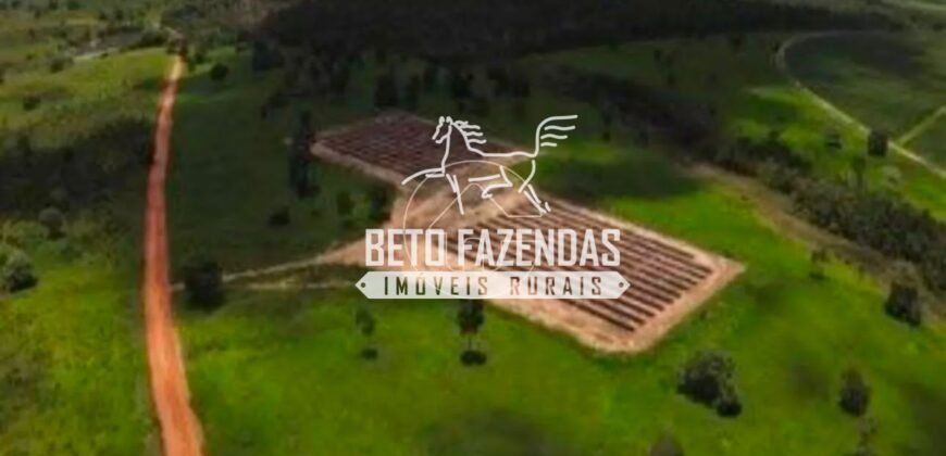Fazenda de Soja à Venda 4.926 Hectares Infraestrutura Completa e Irrigação Consolidada | Jussara/GO