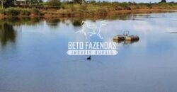 Fazenda de Soja à Venda 4.926 Hectares Infraestrutura Completa e Irrigação Consolidada | Jussara/GO
