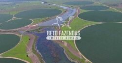 Fazenda de Soja à Venda 4.926 Hectares Infraestrutura Completa e Irrigação Consolidada | Jussara/GO