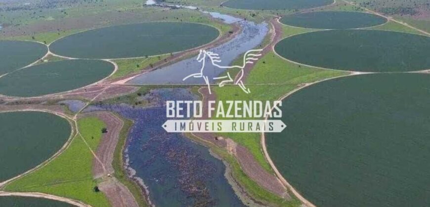 Fazenda de Soja à Venda 4.926 Hectares Infraestrutura Completa e Irrigação Consolidada | Jussara/GO