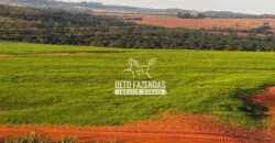 Fazenda de Cana-de-Açúcar à Venda 2.236,87 has Dupla Aptidão Grão, Pecuária e Logistica | Prata/MG