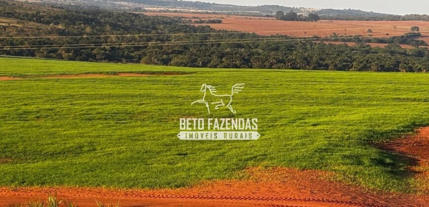 Fazenda de Cana-de-Açúcar à Venda 2.236,87 has Dupla Aptidão Grão, Pecuária e Logistica | Prata/MG