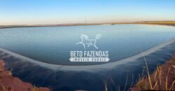 Fazenda de Cana-de-Açúcar à Venda 2.236,87 has Dupla Aptidão Grão, Pecuária e Logistica | Prata/MG