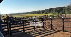 Fazenda de Cana-de-Açúcar à Venda 2.236,87 has Dupla Aptidão Grão, Pecuária e Logistica | Prata/MG