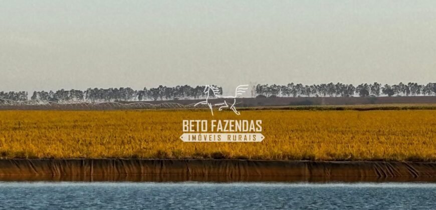 Fazenda de Cana-de-Açúcar à Venda 2.236,87 has Dupla Aptidão Grão, Pecuária e Logistica | Prata/MG