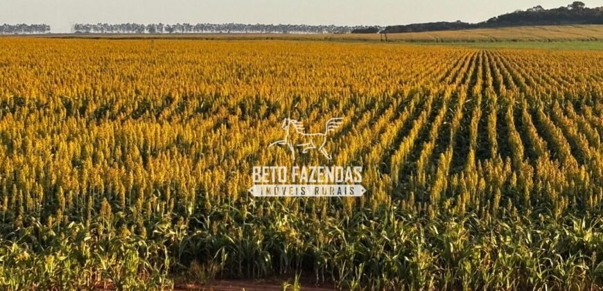 Fazenda de Cana-de-Açúcar à Venda 2.236,87 has Dupla Aptidão Grão, Pecuária e Logistica | Prata/MG