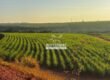 Fazenda de Cana-de-Açúcar à Venda 2.236,87 has Dupla Aptidão Grão, Pecuária e Logistica | Prata/MG