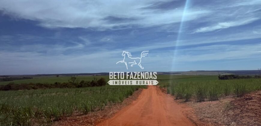 Fazenda de Cana-de-Açúcar à Venda 2.236,87 has Dupla Aptidão Grão, Pecuária e Logistica | Prata/MG