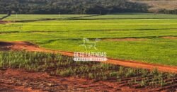 Fazenda de Cana-de-Açúcar à Venda 2.236,87 has Dupla Aptidão Grão, Pecuária e Logistica | Prata/MG