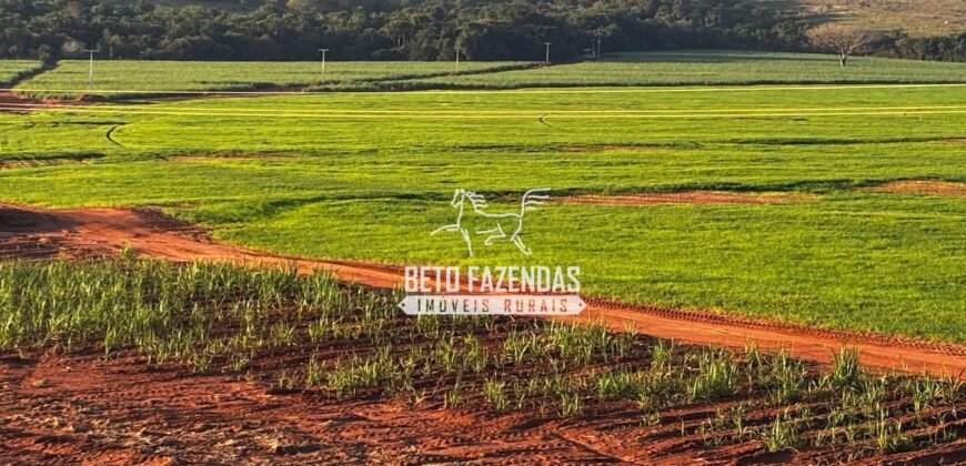 Fazenda de Cana-de-Açúcar à Venda 2.236,87 has Dupla Aptidão Grão, Pecuária e Logistica | Prata/MG