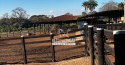 Fazenda de Cana-de-Açúcar à Venda 2.236,87 has Dupla Aptidão Grão, Pecuária e Logistica | Prata/MG