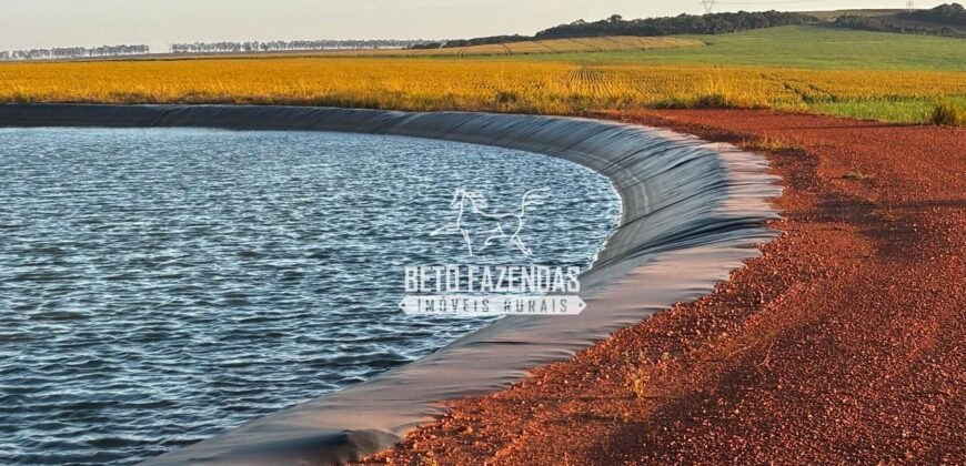 Fazenda de Cana-de-Açúcar à Venda 2.236,87 has Dupla Aptidão Grão, Pecuária e Logistica | Prata/MG