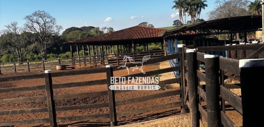 Fazenda de Cana-de-Açúcar à Venda 2.236,87 has Dupla Aptidão Grão, Pecuária e Logistica | Prata/MG