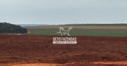 Fazenda de Cana-de-Açúcar à Venda 2.236,87 has Dupla Aptidão Grão, Pecuária e Logistica | Prata/MG