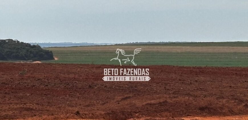Fazenda de Cana-de-Açúcar à Venda 2.236,87 has Dupla Aptidão Grão, Pecuária e Logistica | Prata/MG