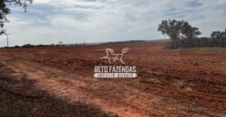 Fazenda de Cana-de-Açúcar à Venda 2.236,87 has Dupla Aptidão Grão, Pecuária e Logistica | Prata/MG