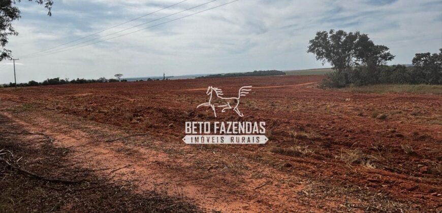 Fazenda de Cana-de-Açúcar à Venda 2.236,87 has Dupla Aptidão Grão, Pecuária e Logistica | Prata/MG