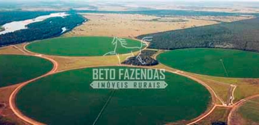Fazenda de Soja à Venda 4.926 Hectares Infraestrutura Completa e Irrigação Consolidada | Jussara/GO